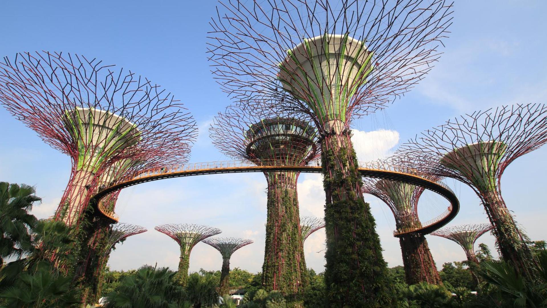 Royal Plaza On Scotts Hotell Singapore Exteriör bild The Supertree Grove